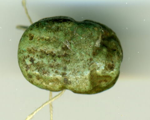 scarabée, image 1/2