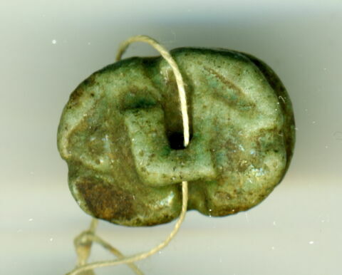 scarabée, image 2/2