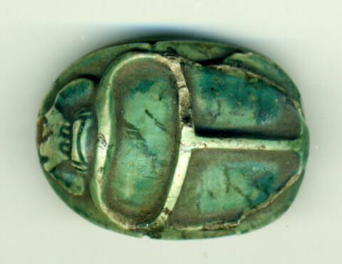 scarabée, image 1/2