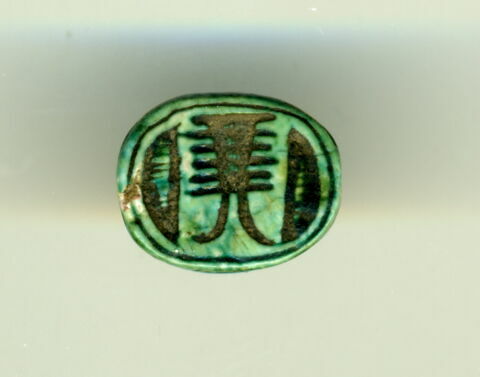 scarabée, image 1/1