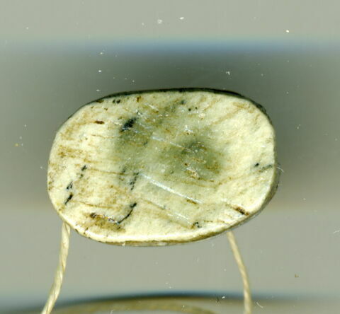 scarabée, image 1/1