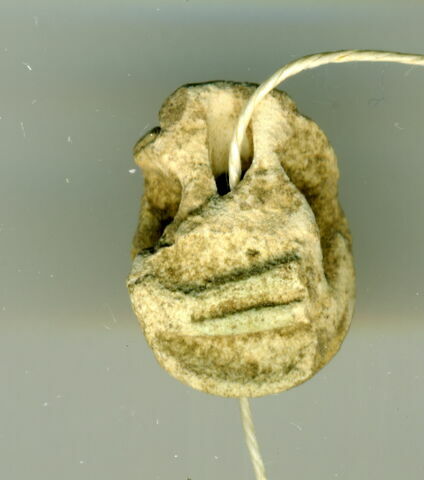 scarabée, image 1/2