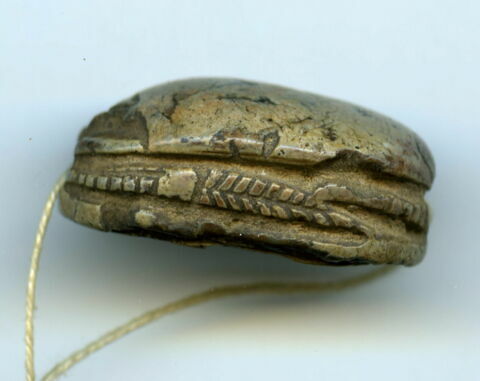 scarabée, image 2/2