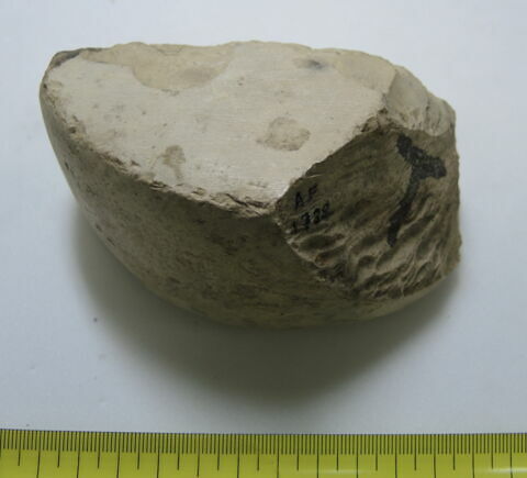 polissoir, image 1/1