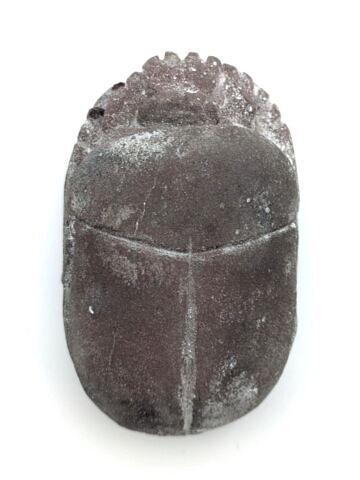 scarabée funéraire, image 1/6