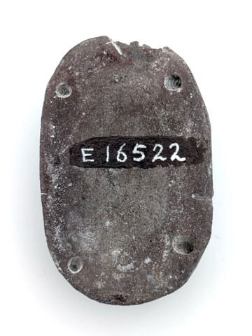 scarabée funéraire, image 6/6