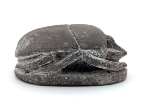 scarabée funéraire, image 4/6