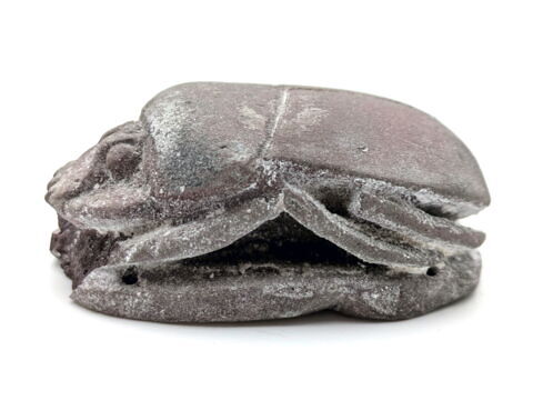 scarabée funéraire, image 5/6