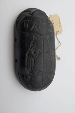 scarabée, image 2/3