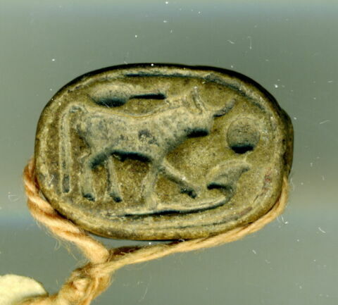 scarabée, image 1/1