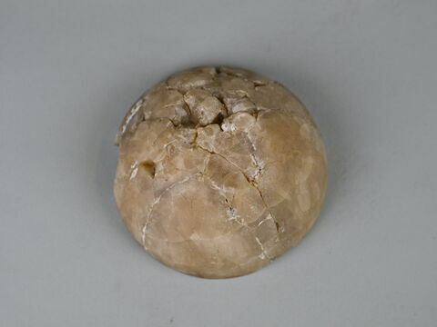 coupe  ; couvercle de vase, image 8/9