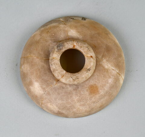 coupe  ; couvercle de vase, image 9/9