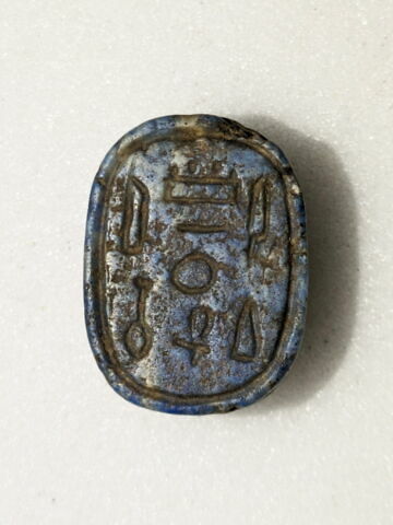 scarabée, image 1/2