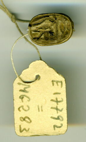 scarabée, image 1/1