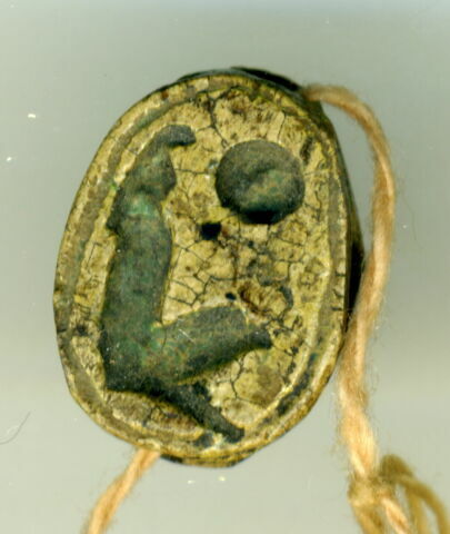 scarabée, image 1/2