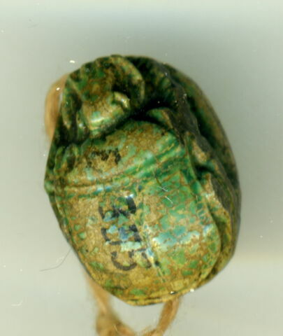 scarabée, image 2/2
