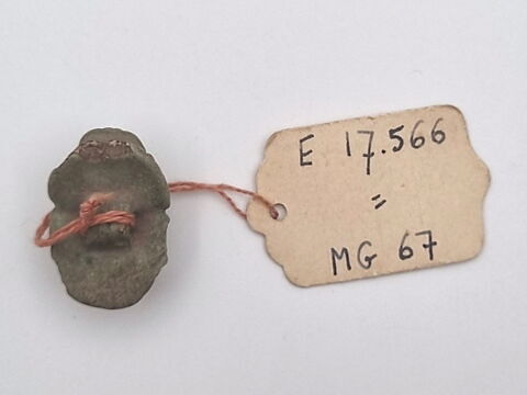 scarabée à ventre détaillé, image 2/2