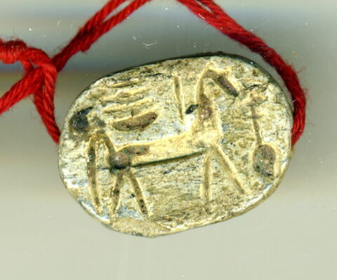 scarabée, image 1/2