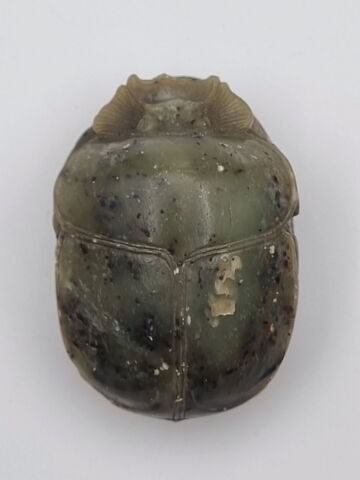 scarabée de cœur, image 2/3