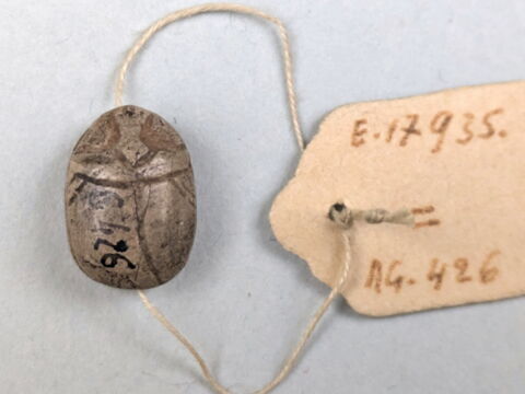 scarabée, image 2/3