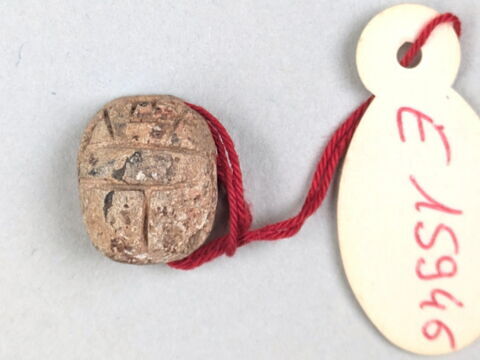 scarabée, image 2/2