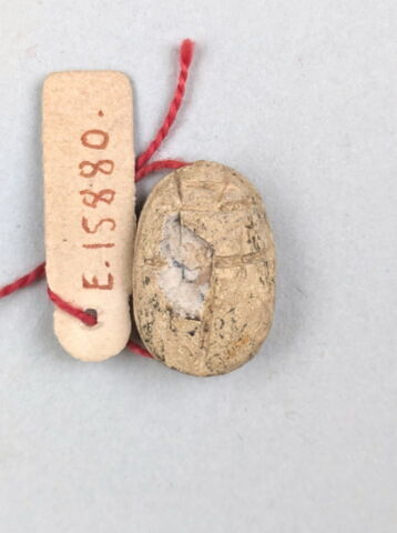 scarabée, image 2/3