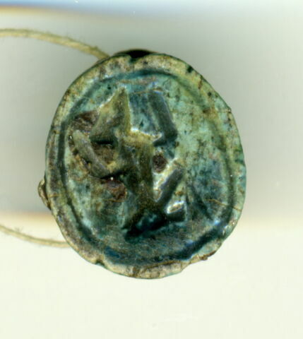 scarabée, image 1/1