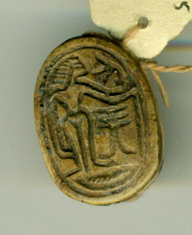 scarabée, image 1/1