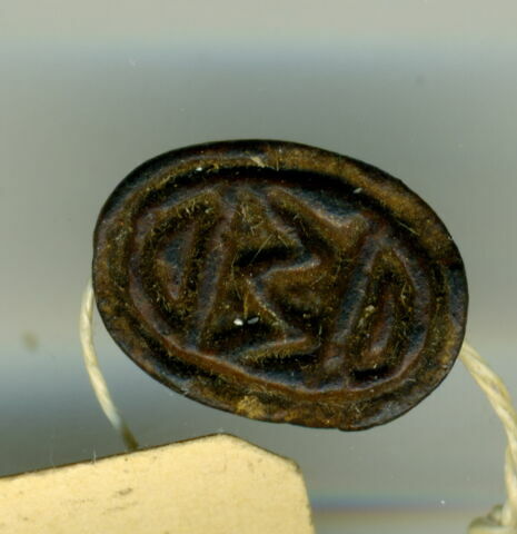 scarabée, image 1/1