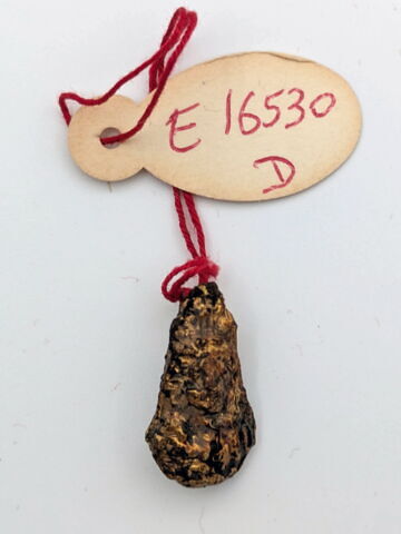 amulette ; pendentif