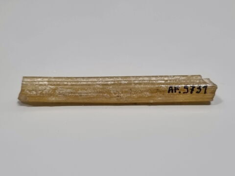 bâtonnet, image 2/2