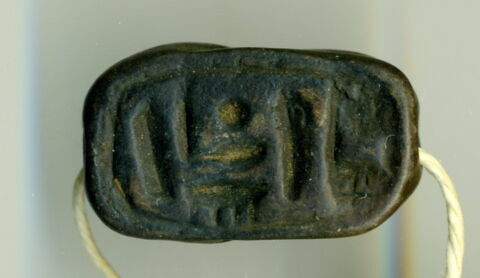 scarabée, image 1/1