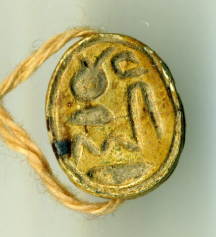 scarabée, image 1/1