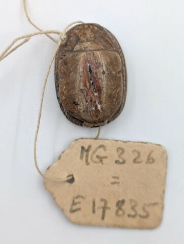 scarabée, image 2/2