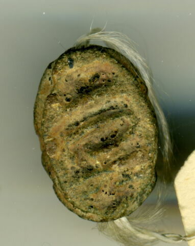 scarabée, image 1/1