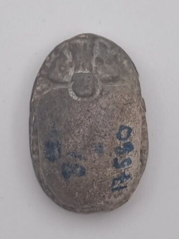 scarabée, image 2/2