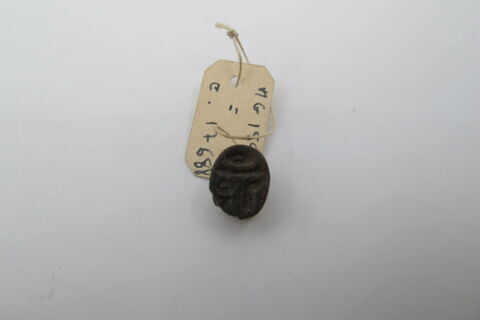 scarabée, image 3/4