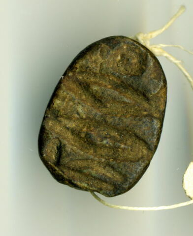 scarabée, image 1/1