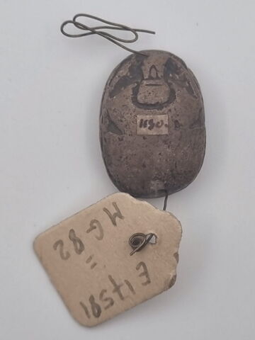 scarabée, image 2/2
