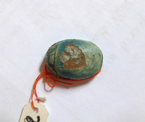 scarabée, image 2/4