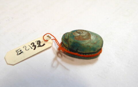 scarabée, image 3/4