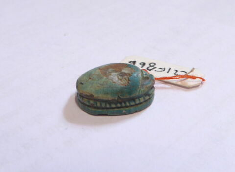 scarabée, image 4/4