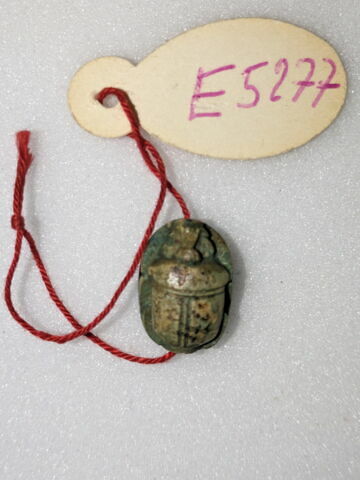 scarabée, image 2/2