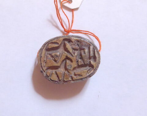 scarabée, image 1/4