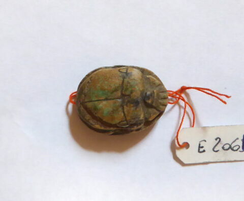 scarabée, image 2/4