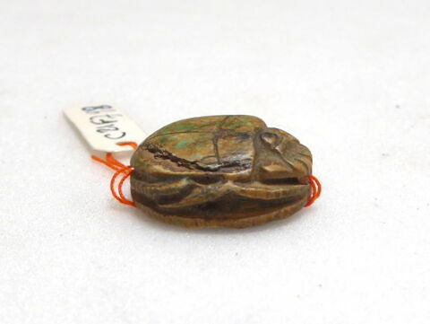 scarabée, image 3/4