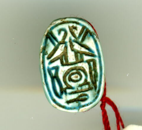scarabée, image 1/1