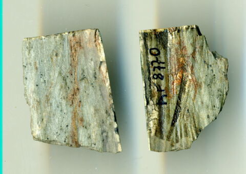 scaraboïde ; plaquette, image 2/2