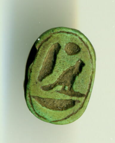 scarabée, image 1/1