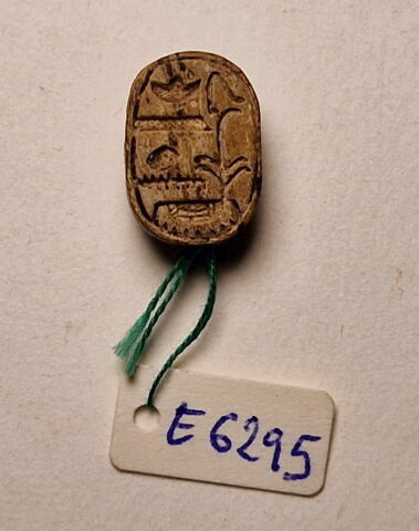 scarabée, image 3/4